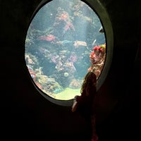 Photo taken at Steinhart Aquarium by Scott H. on 2/1/2022