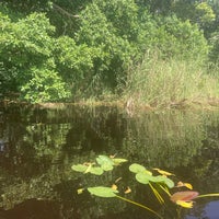 Photo taken at Everglades Holiday Park by Jale K. on 8/1/2022