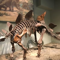 Photo taken at Elizabeth Morse Genius Hall Of Dinosaurs by Legoland75 on 4/29/2023