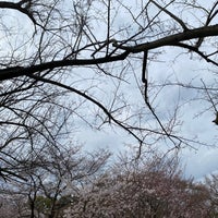 Photo taken at Kyoto Botanical Garden by nikaikaracoffee on 3/31/2024