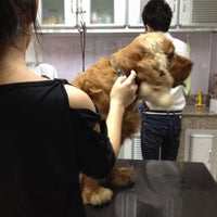 Photo taken at โรงพยาบาลสัตว์อุ่นใจ by ♡myndmind on 11/14/2012