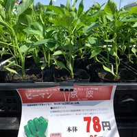 Dcmくろがねや スーパーデポ 稲城押立店 稲城 押立1777 1