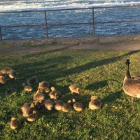 Photo taken at Ontario Power Screen House Walkway by Adela F. on 5/13/2020