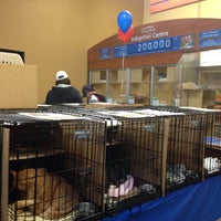 petsmart scarborough