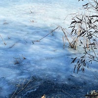 Photo taken at Озеро Мартишів by Lenhen on 2/14/2022