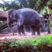 Photo taken at Elephant Ride @ S&amp;#39;pore Zoo by Saipol Z. on 12/25/2013