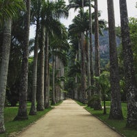 Photo taken at Jardim Botânico do Rio de Janeiro by Gabriel T. on 9/24/2016