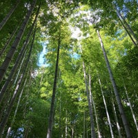 Photo taken at 竹林公園 by Hiro Ino on 7/23/2021