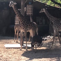 Photo taken at Giraffe African Exhibit by Lici D. on 4/2/2019