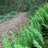 Marquam Nature Park 3 tips from 2 visitors