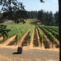 Das Foto wurde bei Vista Hills Vineyard &amp;amp; Winery von Edward S. am 8/16/2015 aufgenommen