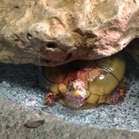 Photo taken at Reptilia by Peter R. on 4/27/2013