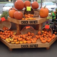 Chuck Hafner S Farmers Market And Garden Center 9 Tipps Von 692