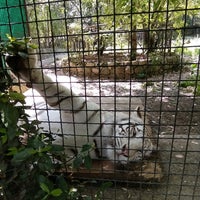 Photo taken at Ялтинский зоопарк «Сказка» / Yalta Zoo by Татьяна О. on 5/29/2021