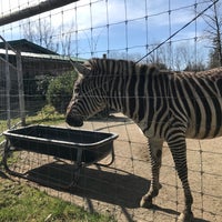 Снимок сделан в Greater Vancouver Zoo пользователем Geo S. 3/21/2019