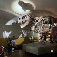 Photo taken at Sue The T. Rex by Priscilla C. on 4/30/2022