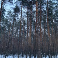 Photo taken at Северный лес by KatjaRa on 1/26/2022
