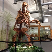 Foto diambil di Brevard Museum Of History and Natural Science oleh Dan J. pada 1/2/2014