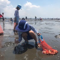 金田海岸潮干狩場 木更津市 木更津市 千葉県 金田海岸潮干狩場 木更津市 木更津市 千葉県