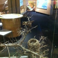 12/3/2012 tarihinde Elaine B.ziyaretçi tarafından Perot Museum of Nature and Science'de çekilen fotoğraf