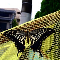 Photo taken at Noborito Elementary School by sakon 3. on 8/27/2014