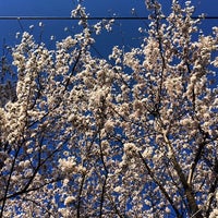 Photo taken at Noborito Elementary School by sakon 3. on 3/31/2014