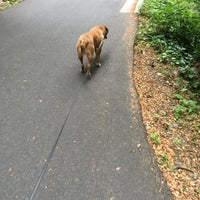 Photo taken at Piedmont Park Walk/Bike Trail by J Scott O. on 5/16/2016