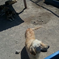 Kayseri Molu Hayvan Barinagi 36 Ziyaretci