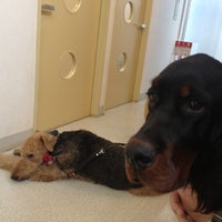 Photo taken at Zephyr Animal Hospital by Nina on 10/6/2012