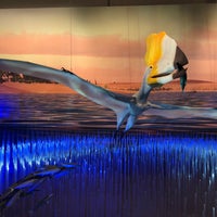 Photo taken at Pterosaur Exhibit by Sang🍕🍟🍜 R. on 12/29/2017