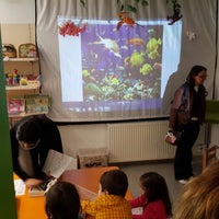 TRP standartlarını nereden geçirebilirim, bunlara hangi testler dahil edilir 76