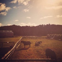 Kiwi Valley Farm Park - 4 tips from 112 visitors