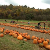 Schramm Farms Orchards Farm In Jeannette