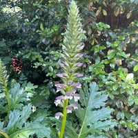 Review Robert College (Robert Kolej)