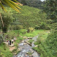 Photo taken at Cameron Bharat Tea Valley by A7MED on 11/18/2023