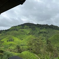 Photo taken at BOH Sungei Palas Tea Centre by A7MED on 11/19/2023
