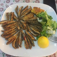 serdivan balik evi adapazari sakarya
