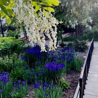 Photo taken at Mitchell Park by Isa L. on 5/6/2021