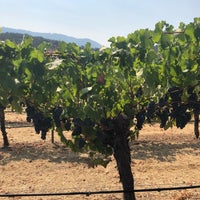 Foto tirada no(a) Arrowood Vineyards &amp;amp; Winery por Julia S. em 8/14/2018