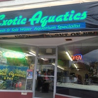 exotic aquatics and pets