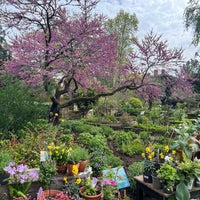 Photo taken at Chelsea Physic Garden by Colin D. on 4/25/2024