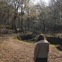 Photo taken at Epping Forest Track by Colin D. on 3/29/2019