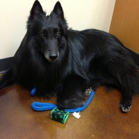 northridge veterinary