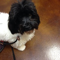 northridge veterinary