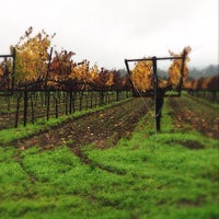 Photo taken at Alderbrook Winery by Shana R. on 11/29/2012