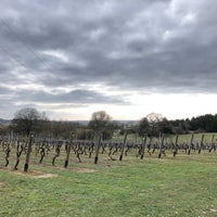 Photo taken at The Chapel Down Winery by Amin D. on 3/22/2018