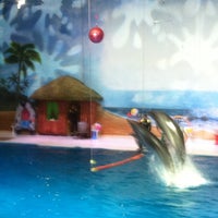 Photo taken at Dubai Dolphinarium by Alyona on 5/2/2013
