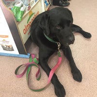 Photo taken at Brockwell Veterinary Surgery &amp;amp; Pet Store by Pippa A. on 10/28/2015