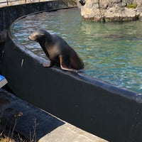 Photo taken at Sea Lion Court by Emily W. on 3/24/2019