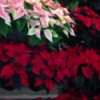 Photo taken at York Flowers - Washington by Andrea R. on 12/13/2013